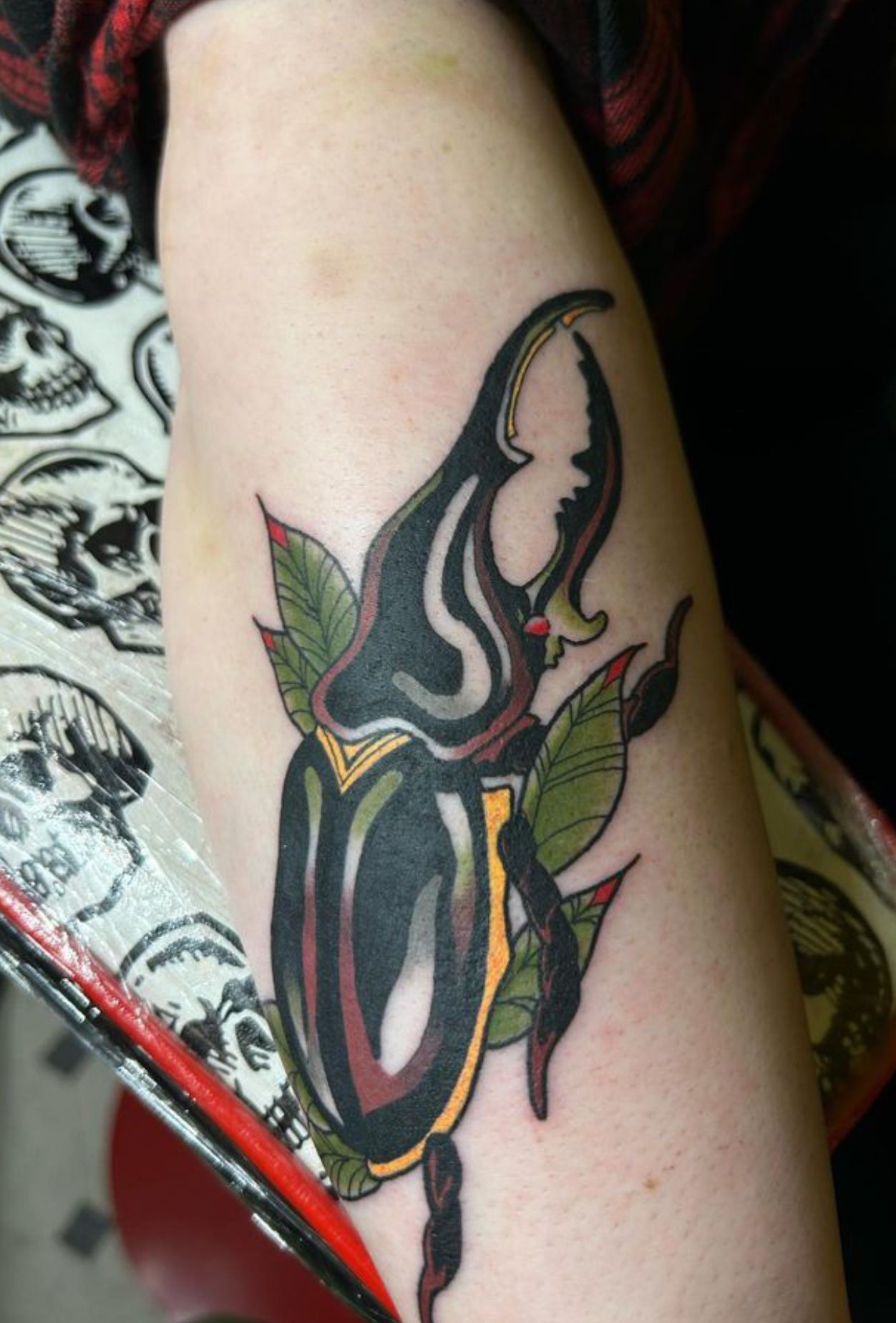 Neo traditional Hercules beetle by Abbey at Azappa